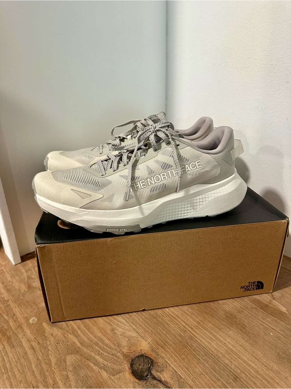 The North Face Men's Altamesa 300 V2 Shoes